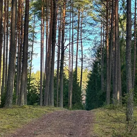 Pusyno Apartamentai