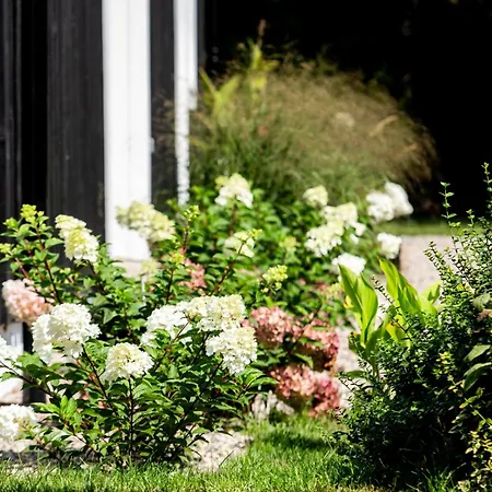 Pusyno Apartamentai *