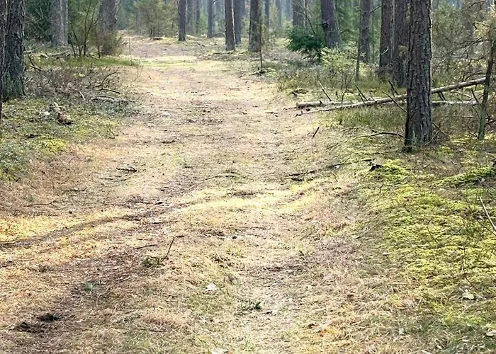 Apartament Pusyno Apartamentai *