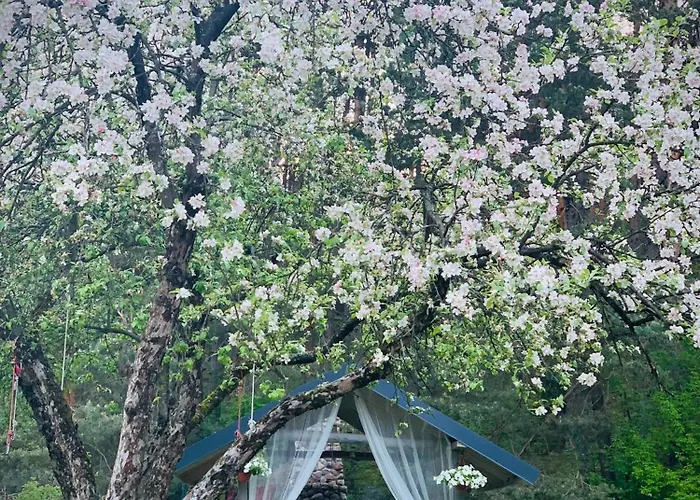 Apartament Pusyno Apartamentai *