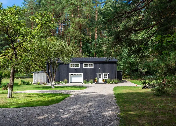 Pusyno Apartamentai * Druskieniki