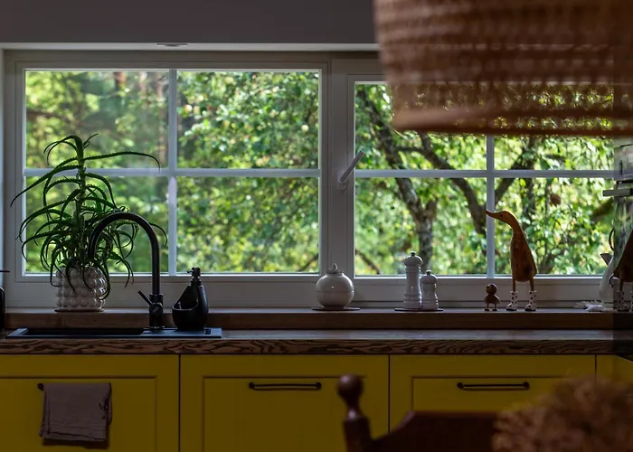 Pusyno Apartamentai Apartament *