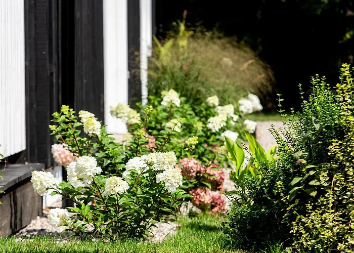 Pusyno Apartamentai *