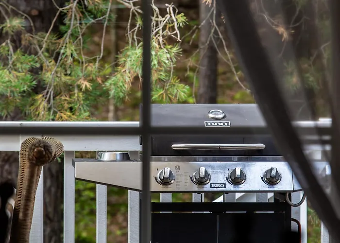 Pusyno Apartamentai Druskieniki